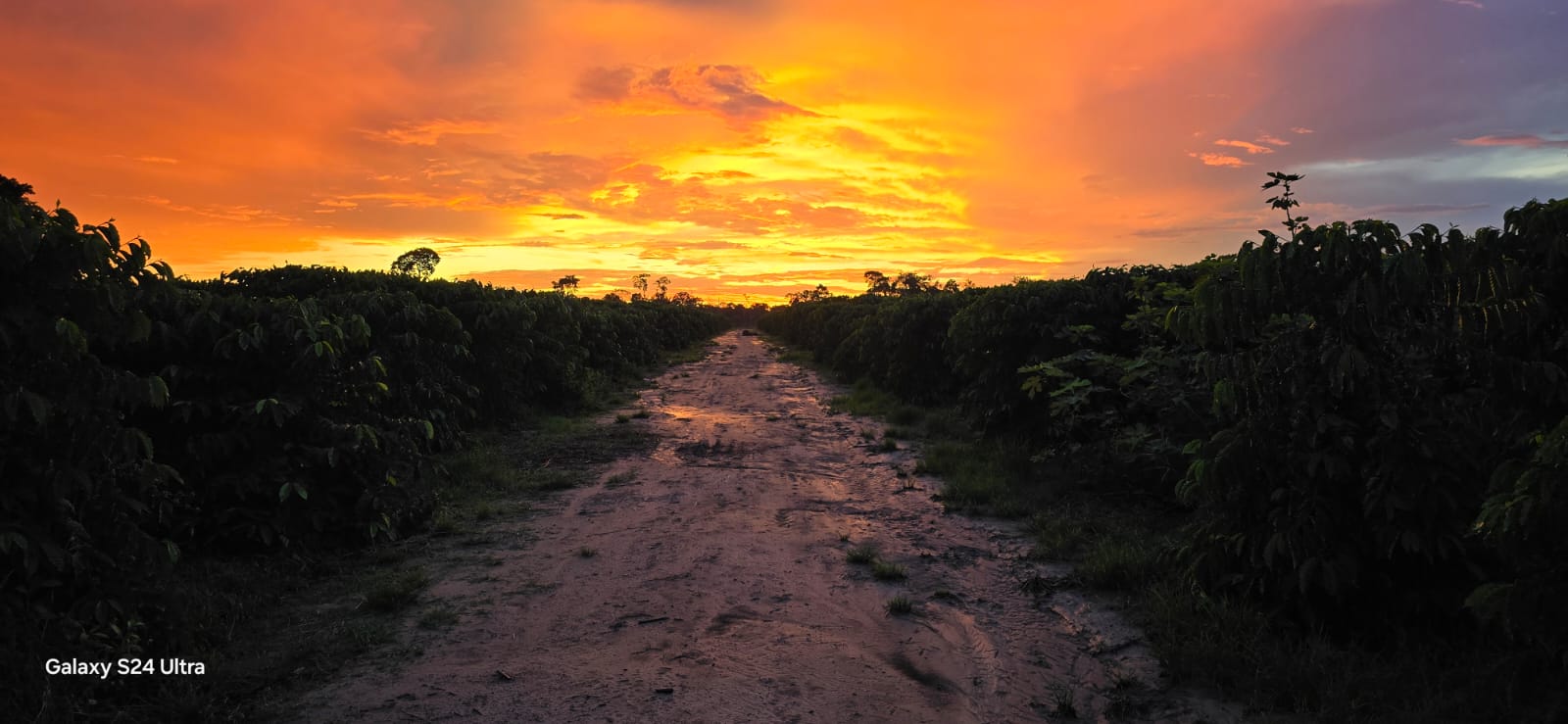 Foto do pôr do sol